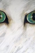 Strenger Blick, 100 x 120 cm, 2018