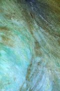 hair 2, 100 x 150 cm, 2018