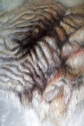 hair 3, 100 x 150 cm, 2018